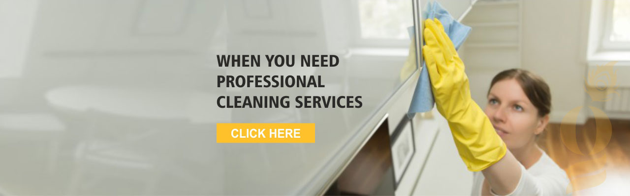 Cleaning Service