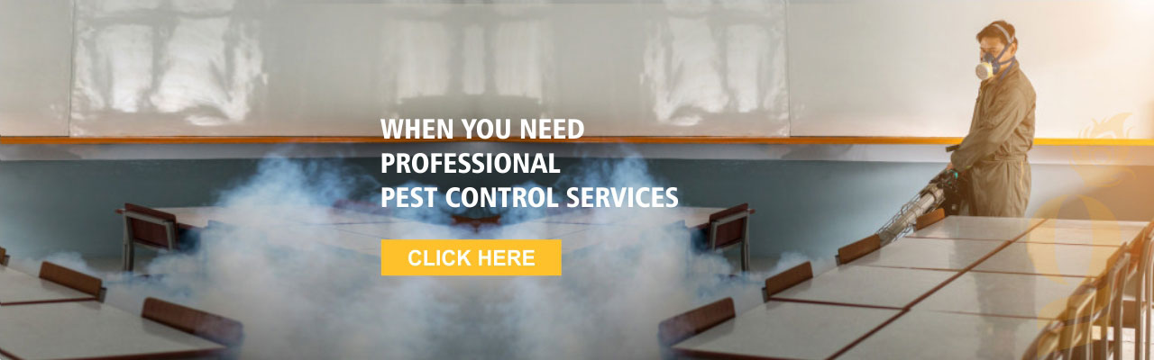Pest Control Service