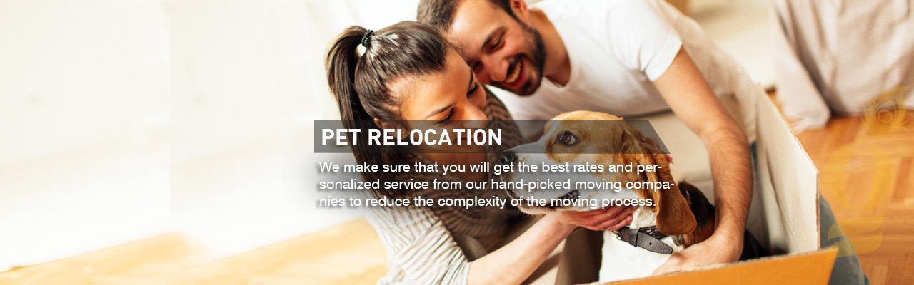 Relocation Company in Qatar